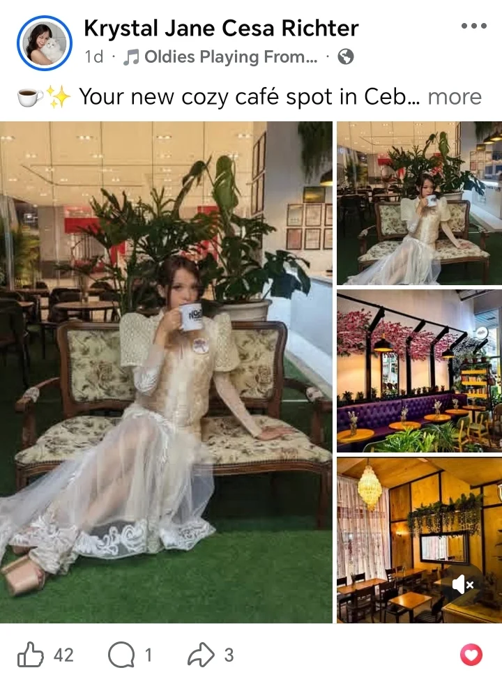 Customer post, view on Facebook
