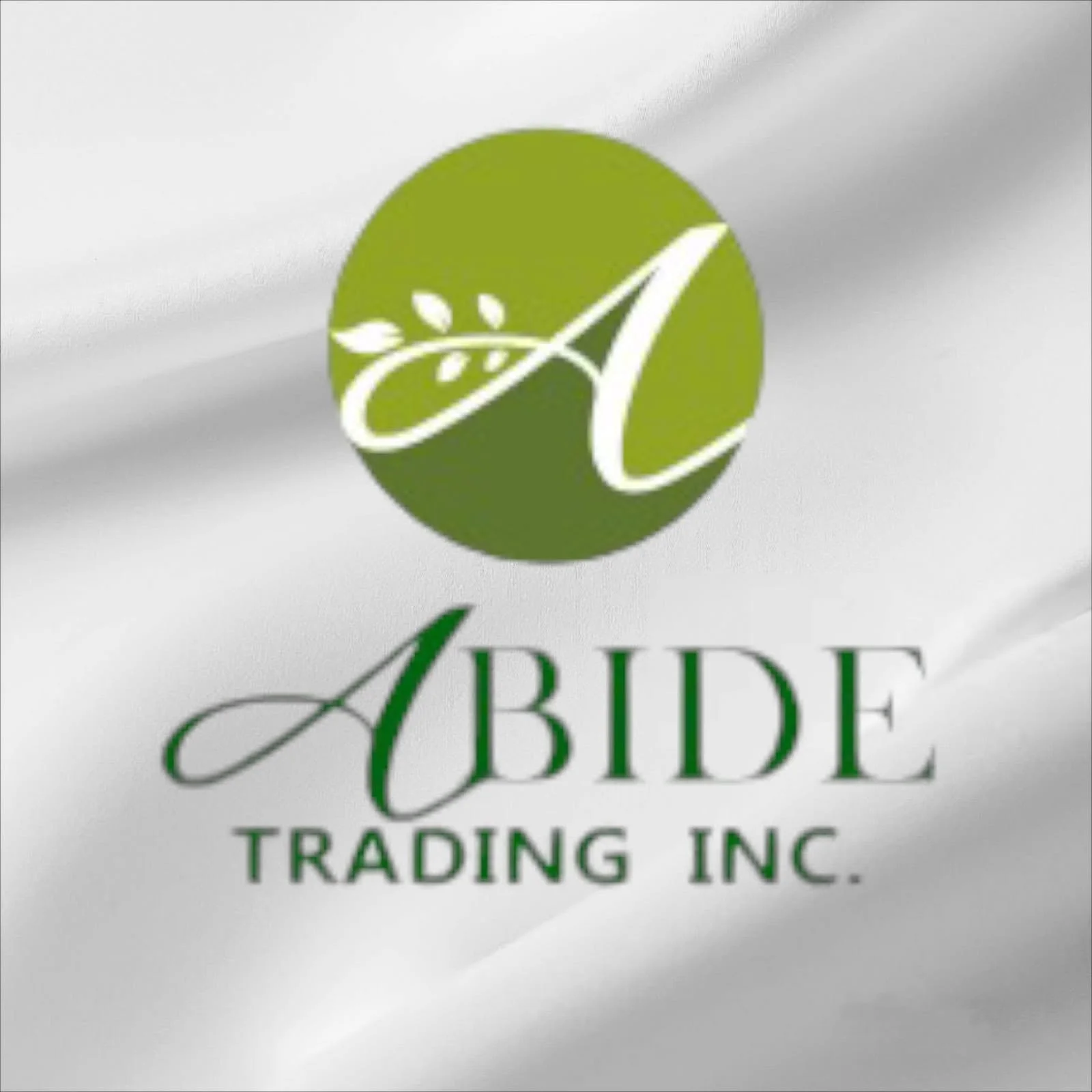 Glass walls installer logo
